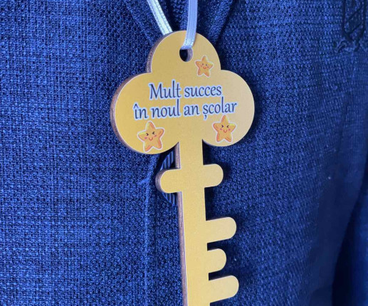 Medalii Cheița succesului cu stelute