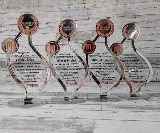 Trofeu personalizat din acril argint