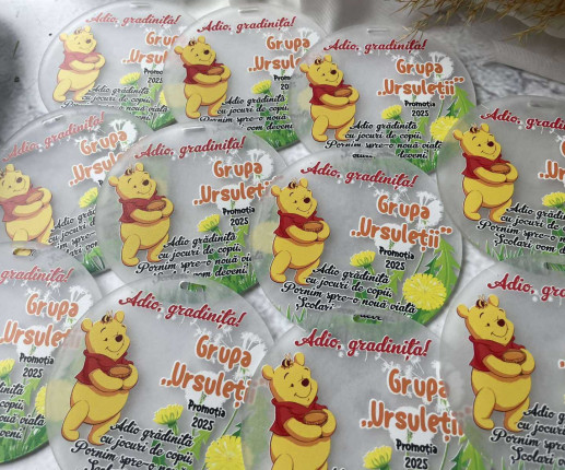 Medalii din pet ,,Adio Gradiniță,, cu ursulet image 2
