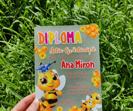 Diplomă din pet ,,Adio Gradiniță,, cu albinuță image 2