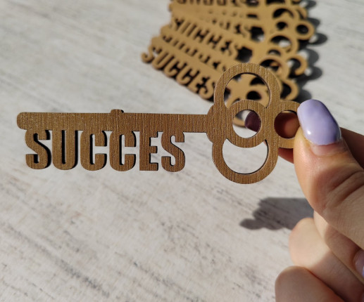 Medalii Cheița succesului aurie image 4