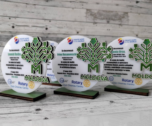 Trofeu cu Pomul Vietii image 2