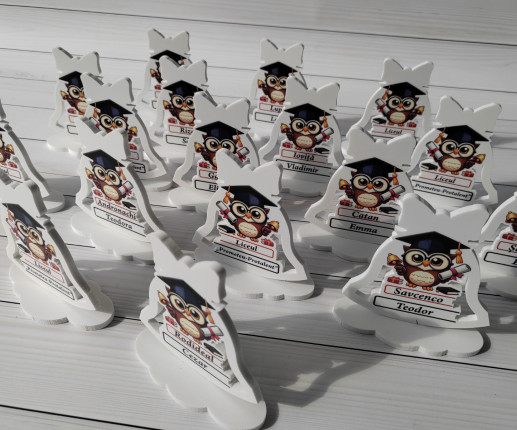 Trofeu prima zi de școală cu bufnite image 2