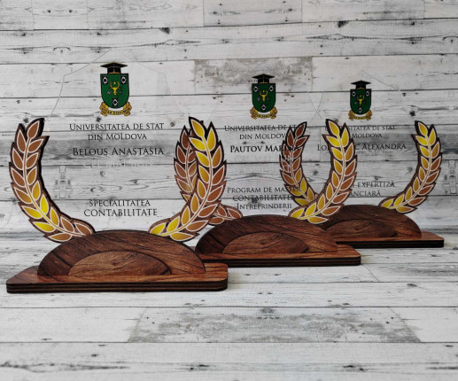 Trofeu personalizat  pentru succes