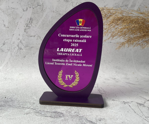 Trofeu personalizat pentru concursuri