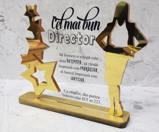 Trofeu Cel mai bun director 1