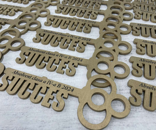 Medalii Cheița succesului aurie