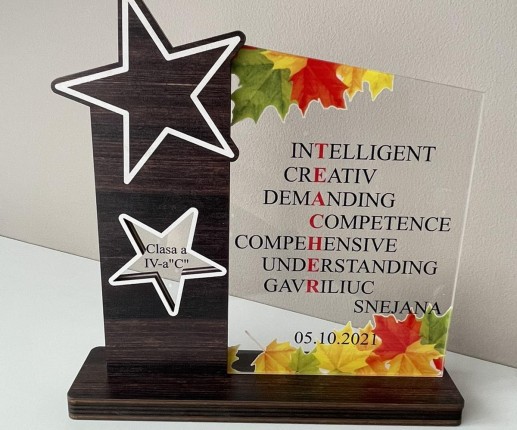 Trofeu personalizat “Teacher”