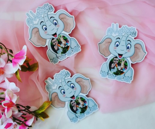 Mărturii-magneți in forma de elefantei