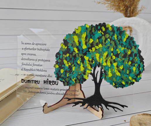 Trofeu personalizat Natura 1