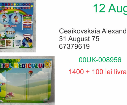 Comanda 2 panouri Alenxandra Ceaikovskaia image 1
