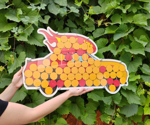 Guest book cu Masinuta