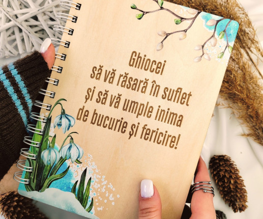 Carnete personalizate pentru profesori 14