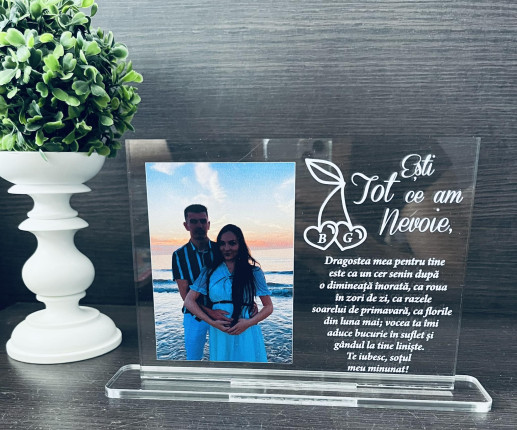 Трофеи с персонализацией "Ты всё что мне нужно" image 2