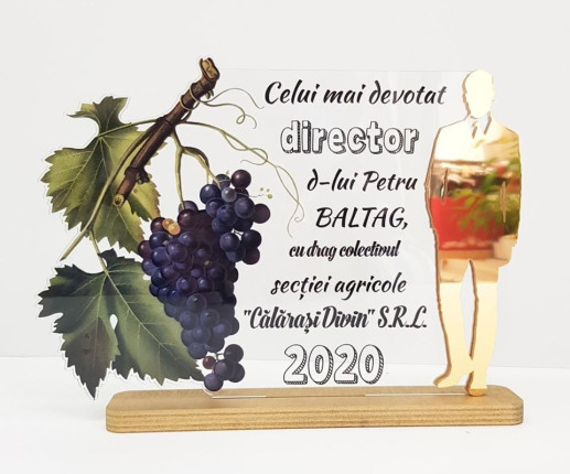 Trofeu cu Strugure 1