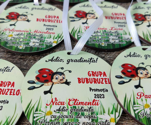 Medalii din lemn ,,Adio Gradiniță,, cu buburuză image 3
