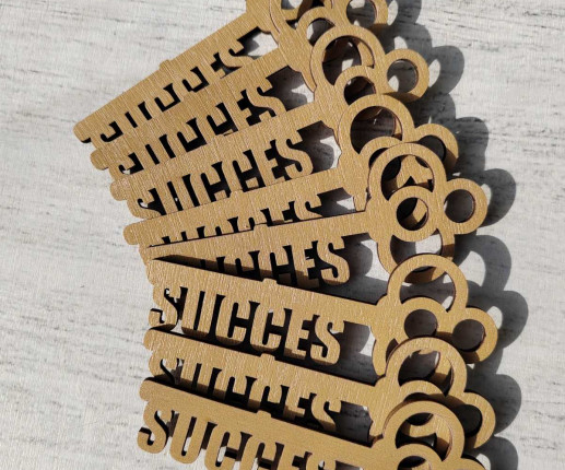 Medalii Cheița succesului aurie image 3