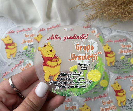 Medalii din pet ,,Adio Gradiniță,, cu ursulet