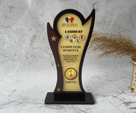 Trofeu personalizat pentru concursuri 3