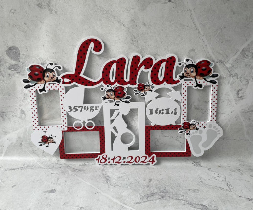 Rame foto cu buburuza