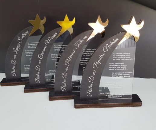 Trofeu ,,Steaua Recunoștinței,,