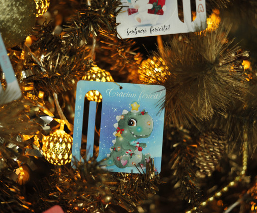 Decoratiune pentru bani 1