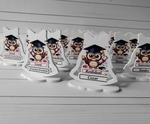 Trofeu prima zi de școală cu bufnite image 3