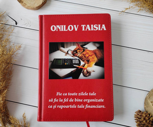 Agende personalizate pentru contabilitate