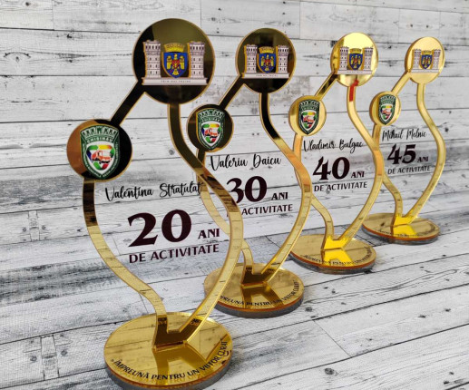 Trofeu personalizat din acril auriu