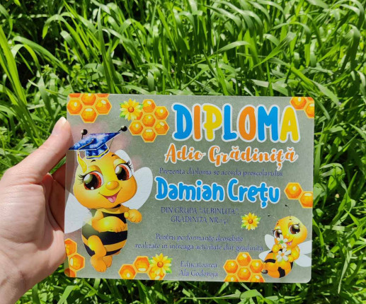 Diplomă din pet ,,Adio Gradiniță,, cu albinuță