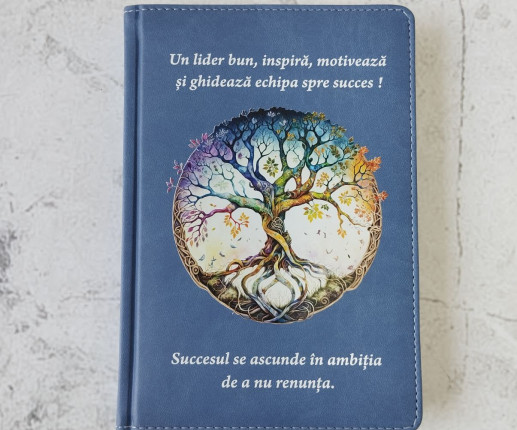 Agende personalizate pentru profesori 11