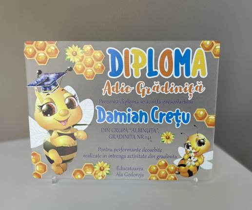 Diplomă din pet ,,Adio Gradiniță,, cu albinuță image 3