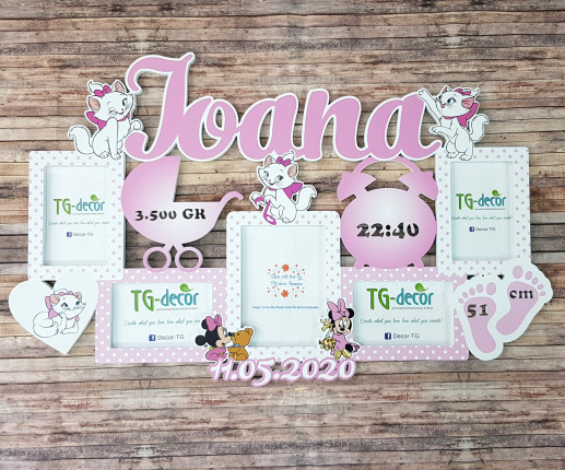 Rama foto cu pisică