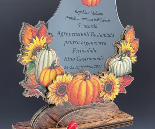 Trofeu destinat festivalului