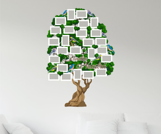 Rama foto Pom cu pasari albastre 1