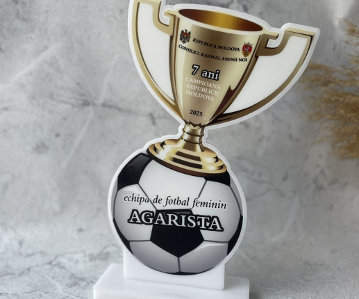 Trofeu personalizat pentru fotbal