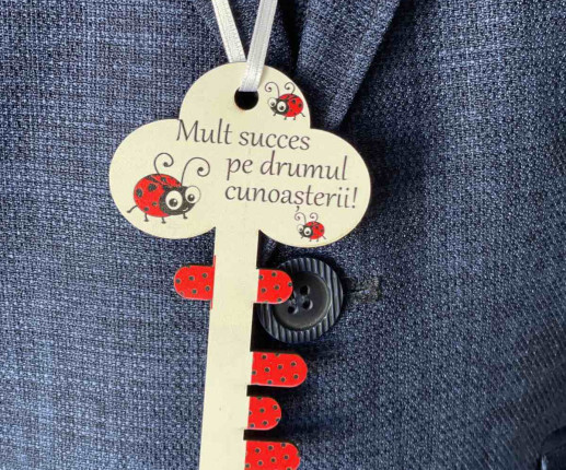 Medalii Cheița succesului cu Buburuza image 2