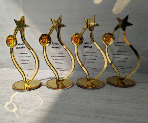 Trofeu personalizat din acril auriu stea image 2
