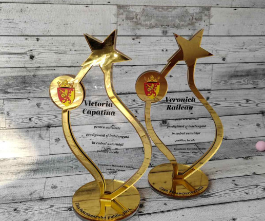 Trofeu personalizat din acril auriu stea