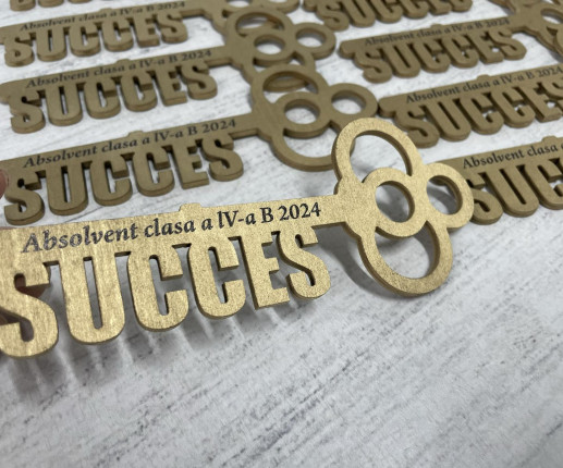 Medalii Cheița succesului aurie image 2