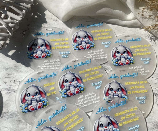 Medalii din pet ,, Absolvent,, cu Iepurasi image 2