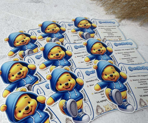 Diplome  din pet cu ursulet image 2