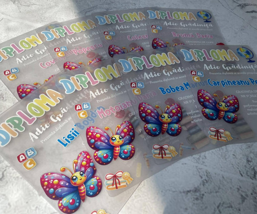 Diplomă din pet ,,Adio Gradiniță,, cu fluturasi image 2