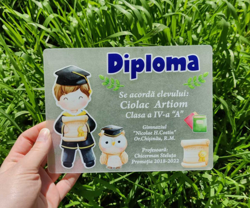 Diplomă din pet pentru  absolvenții treptei primare image 2