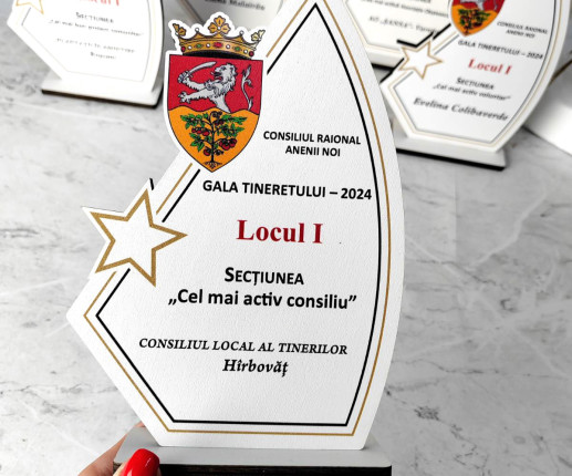 Trofeu personalizat cu Stea