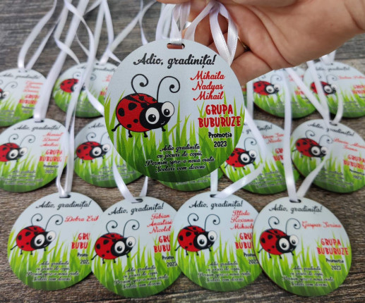 Medalii din lemn ,,Adio Gradiniță,, cu buburuză image 2