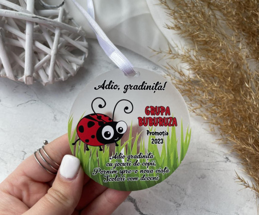 Medalii din pet ,,Adio Gradiniță,, cu buburuză