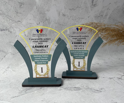 Trofeu personalizat pentru concursuri 5