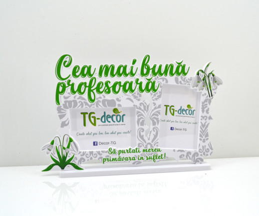 Ramă foto ,, Cea mai bună profesoară,,