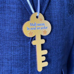 Medalii Cheița succesului cu stelute thumb-image 1